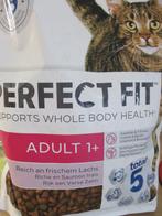 kattenbrokken, Ophalen of Verzenden, Kat