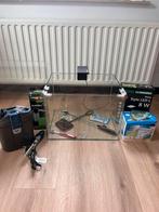 Dennerle aquarium 55l plus toebehoren, Dieren en Toebehoren, Vissen | Aquaria en Toebehoren, Ophalen, Zo goed als nieuw