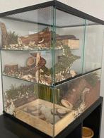 Gerbil en hamster terrarium – Luxe knaagdierkooi, Dieren en Toebehoren, Minder dan 60 cm, Ophalen of Verzenden, Minder dan 75 cm
