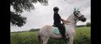 Lieve merrie, Dieren en Toebehoren, Paarden, Minder dan 160 cm, Zadelmak, 7 tot 10 jaar, Recreatiepaard