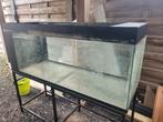 Aquarium BxHxD 150x60x50, Ophalen, Gebruikt