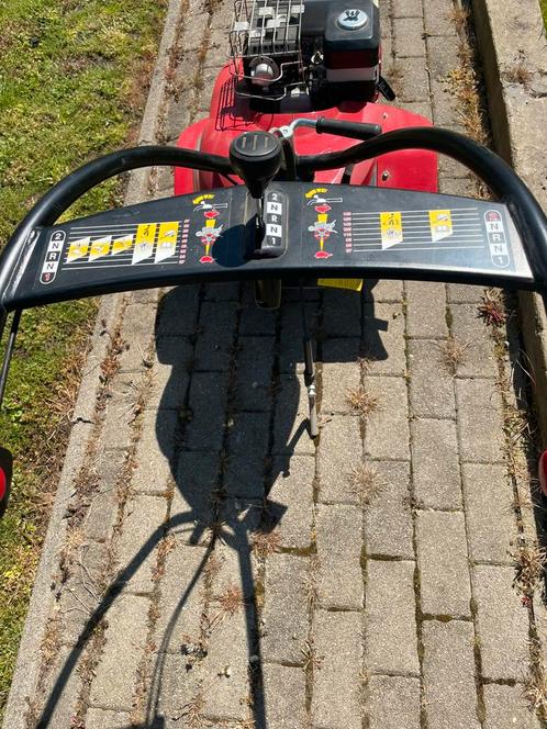 Tuinfrees met Honda motor, Tuin en Terras, Overige Tuin en Terras, Zo goed als nieuw, Ophalen