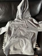 ralph lauren trui, Kleding | Heren, Truien en Vesten, Ophalen, Grijs, Maat 46 (S) of kleiner, Polo Ralph Lauren