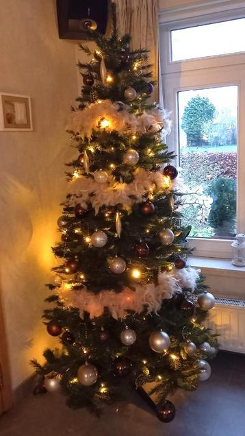 Kerstboom beschikbaar voor biedingen
