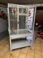 Montana new madeira, Dieren en Toebehoren, Ophalen, Nieuw