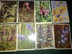 38 prenten Fauna & Flora uitgebracht door Cote D'or, Verzamelen, Foto's en Prenten, Ophalen of Verzenden, Gebruikt, Overige onderwerpen
