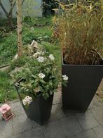 Prachtige kunststoffen bloembakken incl plant en fruitbomen, Ophalen, Gebruikt