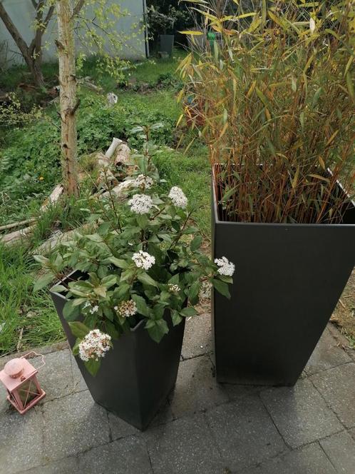 Prachtige kunststoffen bloembakken incl plant en fruitbomen, Tuin en Terras, Bloembakken en Plantenbakken, Gebruikt, Ophalen