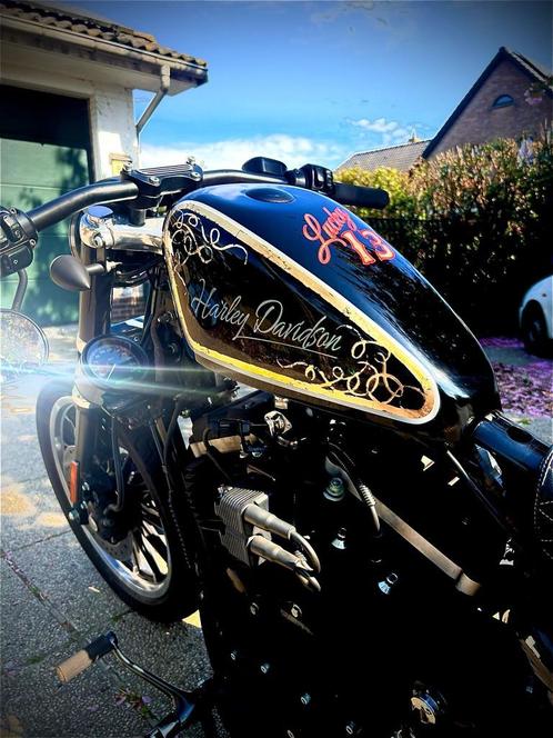 Harley davidson XL 883, Motoren, Motoren | Harley-Davidson, Particulier, Chopper, meer dan 35 kW, 2 cilinders, Ophalen
