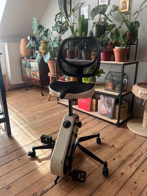 Kantoorfiets, Sport en Fitness, Fitnessapparatuur, Ophalen