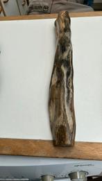 Fossielhout 3600 gram formaat 56 cm