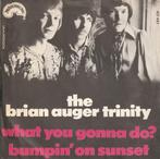 Brian Auger Trinity - What you gonna do ?, Cd's en Dvd's, Vinyl Singles, Gebruikt, Verzenden, 7 inch, Single