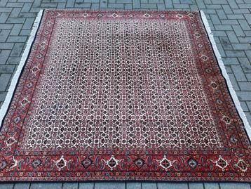 Perzische handgeknoopt tapijt 200 X 200 cm (Bidjar) Uit Iran beschikbaar voor biedingen