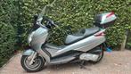Honda scooter Flex 125 cc, Bedrijf, Scooter