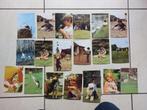 lot van 22 niet beschreven postkaarten met dieren, Collections, Cartes postales | Animaux, Envoi