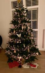 Kerstboom, Diversen, Ophalen, Gebruikt