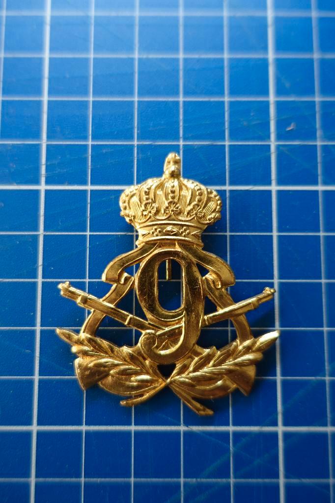 ABL #60 - MUTSKENTEKEN 9de LINIEREGIMENT, Collections, Objets militaires | Général, Armée de terre, Enlèvement ou Envoi