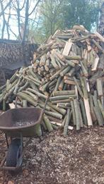 Brandhout te koop, regio Damme., Tuin en Terras, Minder dan 3 m³, Ophalen, Overige houtsoorten, Blokken