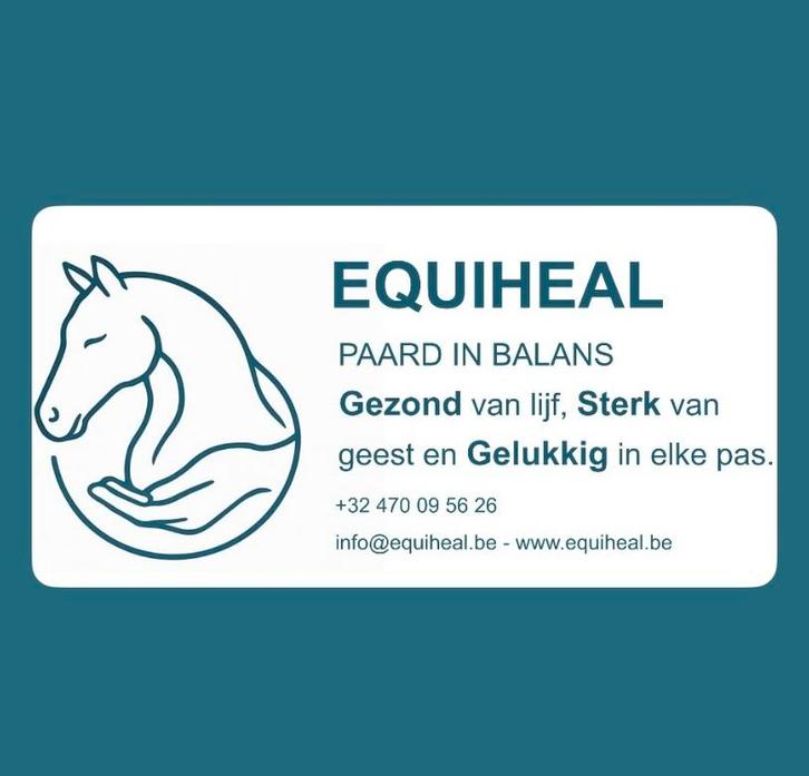 Shiatsu/triggerpoints/osteopathie/cranio-sacraal/…, Dieren en Toebehoren, Paarden