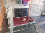 Cage pour grand chien, Dieren en Toebehoren, Ophalen, Zo goed als nieuw