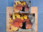 Puzzle 500 pièces MB - Les deux écureuils, Enlèvement ou Envoi, 500 à 1500 pièces, Utilisé, Puzzle