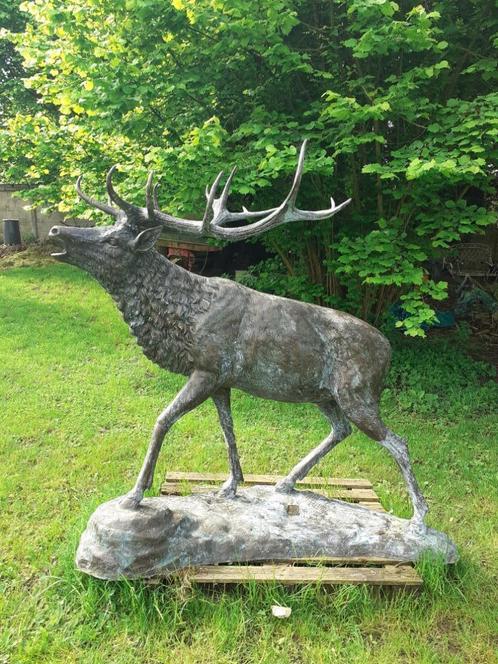 SUPERBE STATUE EN BRONZE (le brame du cerf ,grandeur nature, Jardin & Terrasse, Statues de jardin, Utilisé, Animal, Autres matériaux