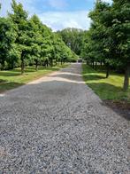 tuinonderhoud - snoeiwerken - hagen, Ophalen of Verzenden, Nieuw