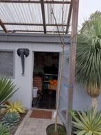 grote vijgeboom, Ophalen
