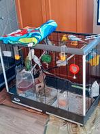 7xgrasparkieten met kooi TE KOOP, Dieren en Toebehoren