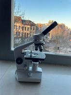 Euromex led microscoop 40x/100x/400x, Enlèvement, Utilisé, Moins de 400x