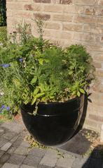 Grote bloempot, Tuin en Terras, Bloembakken en Plantenbakken, Ophalen