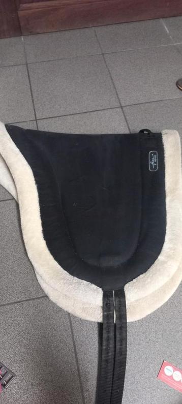 Coussin Bareback, Enlèvement ou Envoi, Utilisé