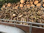 Branches de peuplier de bois de chauffage, Jardin & Terrasse, Bois de chauffage, Branches, Enlèvement ou Envoi