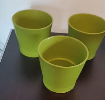 3 bloempotjes beschikbaar voor biedingen