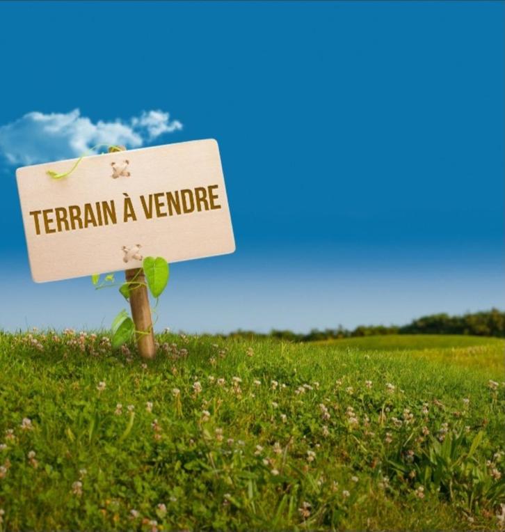 Terrain de loisir, verger aménagé, Immo, Gronden en Bouwgronden, 1500 m² of meer