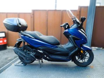 forza 125cm3 abs permis B voiture 2022 gar 1.2.3ans jhb beschikbaar voor biedingen