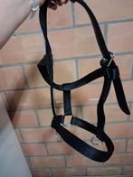 Halster, Dieren en Toebehoren, Ophalen of Verzenden