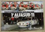 Grote poster Alfa Romeo Alfasud Rally Monte Carlo 1983, Verzamelen, Auto's, Ophalen of Verzenden, Zo goed als nieuw