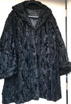 Prachtige Astrakan Persianer lam jas, Vêtements | Femmes, Vestes | Hiver, ANDERE, Taille 46/48 (XL) ou plus grande, Comme neuf