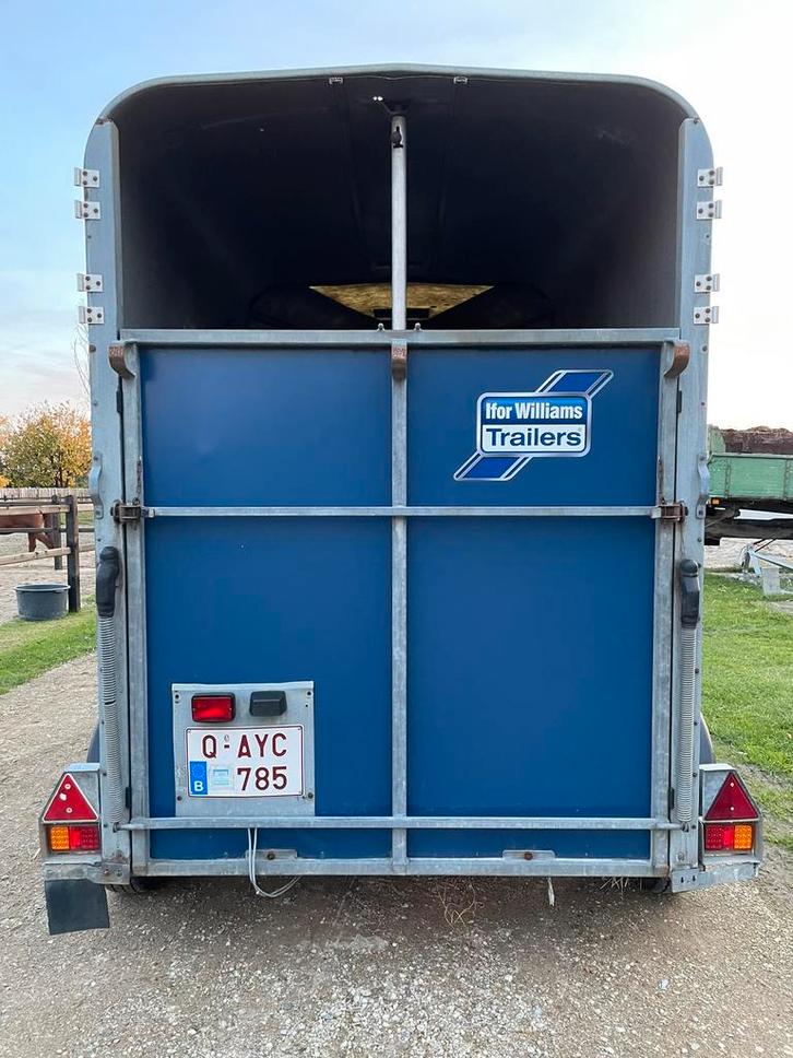 Ifor williams trailer, Dieren en Toebehoren, Paarden en Pony's | Trailers en Aanhangwagens, Gebruikt, 2-paards trailer, Hout, Ophalen