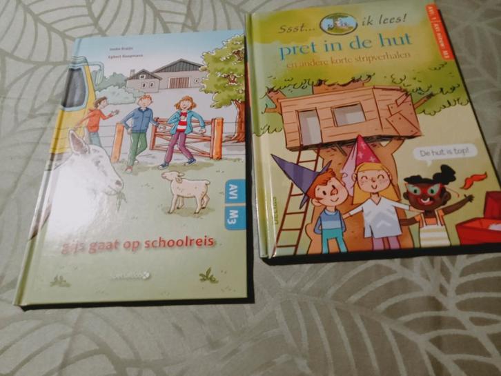 Avi niveau boekjes, Livres, Livres pour enfants | Jeunesse | Moins de 10 ans, Enlèvement ou Envoi