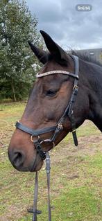 Rambo micklem multi bridle maat full, Dieren en Toebehoren, Ophalen of Verzenden, Zo goed als nieuw, Recreatie