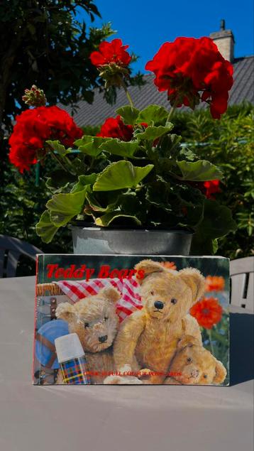 Teddy Bears in Colour 1993 – Vintage Postcard Book beschikbaar voor biedingen
