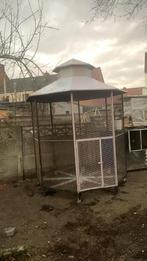 Grote vogelkooi moet weg, Enlèvement, Comme neuf