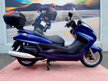 YAMAHA MAJESTY 400 beschikbaar voor biedingen