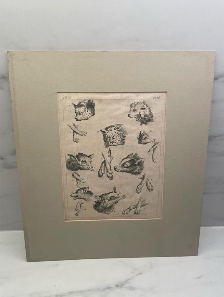 Ets — Kostuum van de oude volkeren — Plate 18 Cochinn, Antiek en Kunst, Kunst | Etsen en Gravures, Ophalen of Verzenden