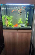 Juwel lido 200 te koop, Dieren en Toebehoren, Ophalen, Gebruikt