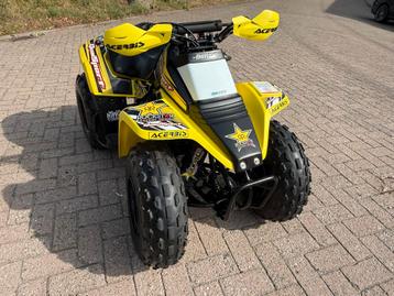 MOOISTE VAN NL EN BE lt80 suzuki beschikbaar voor biedingen
