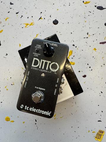 tc electronic Ditto Looper beschikbaar voor biedingen