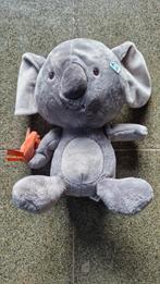 Knuffelbeer koala, Ophalen of Verzenden, Zo goed als nieuw